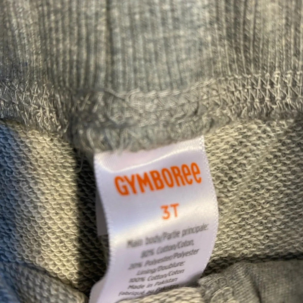 Gymboree 🆕 stunt